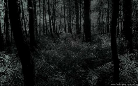 Dark Forest Wallpapers ~ Hd Wallpapers Desktop Background