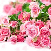 Consegna domicilio fiori per compleanno a roma e dintorni. Fiori compleanno - Regalare fiori - Quali fiori scegliere per il compleanno?