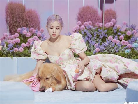 BlackPink S Rose In Ice Cream M V Photoshoot The Album K Wallpaper Download