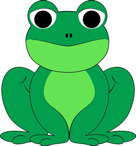 Poison Clipart Cute Frog Clipart Png Transparent Png Full Size
