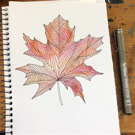 Autumn Leaf Maple Leaf Tattoo Autumn Leaves Drawings