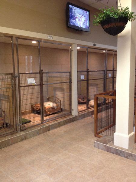 Dog And Large Animal Custom Enclosures Masonco Dog Boarding Kennels