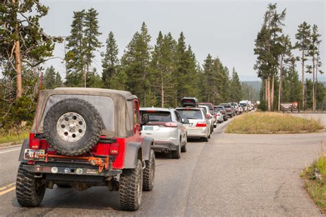 yellowstone crowds generated second busiest june in park history yellowstone insider