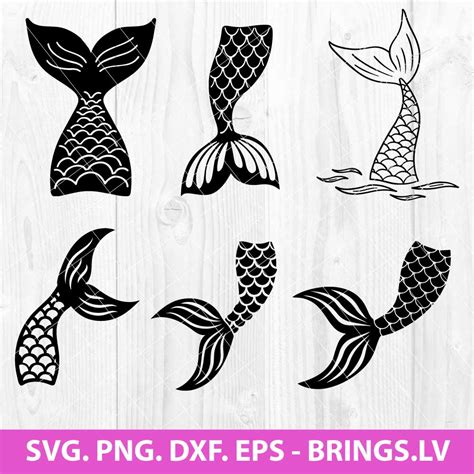 Mermaid Tail SVG Mermaid Tail PNG Clipart Vector EPS
