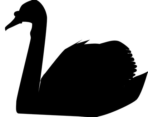 Swan Bird Animal Free Vector Graphic On Pixabay