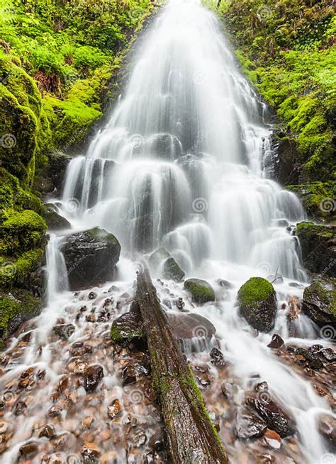 Fairy Falls In Columbia River Gorge Oregon Stock Image Image Of Moss