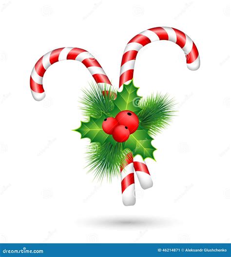 Candy Canes With Holly Isolated On White Stock Vector Illustration Of