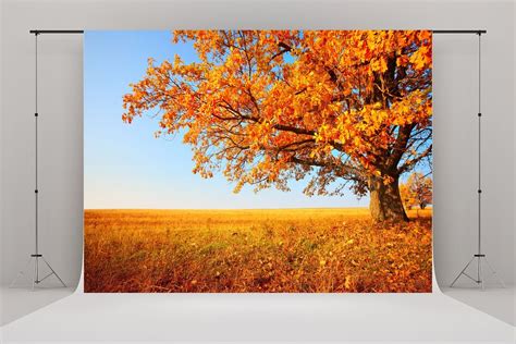 Greendecor Polyster 7x5ft Golden Autumn Maple Backgrounds For