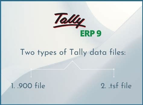 Understand 900 And Tsf Data Formats Of Tally Data Files Tally On