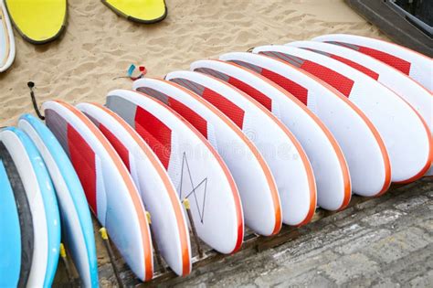 Many Surfboards On The Sandy Beach Stock Photo Image Of Sport Summer