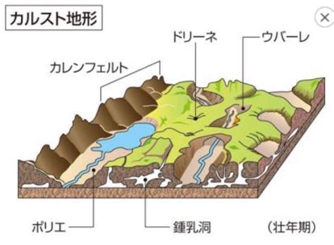 Apr 10, 2020 · カルスト地形… 四国カルスト・秋吉台でおなじみ. カルスト地形といえばドリーネ!地理好きが平尾台トレイル ...