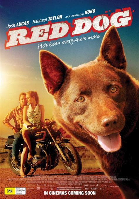 Red Dog Movie Poster 1 Of 3 Imp Awards