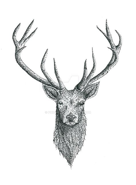 Deer Tattoo Design By Pixiebmth On Deviantart