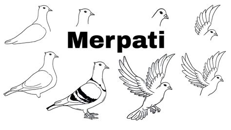 Tutorial Menggambar Burung Merpati Youtube