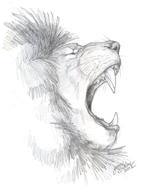 African Lion Sketch By Emryswolf Pencil Art Drawings Art Drawings