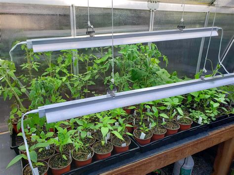 Grow Light Full Spectrum Led Plant Light For Indoor Plantsheight