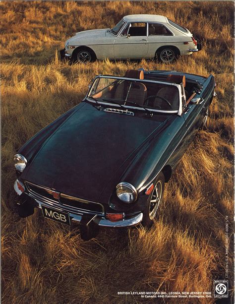 Mgb V Gt And Roadster The Essential Buying Guide