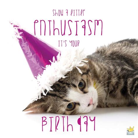 39 Birthday Wishes For Cats Happy Bday Kittie