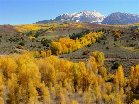 Wallpaper Mountains Slopes Trees Yellow Autumn 1600x1200