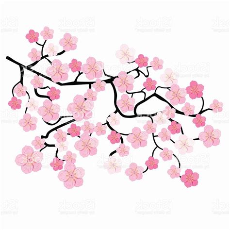 Hand Drawn Easy Cherry Blossom Drawing Cherry Blossom Branch Drawing At Getdrawings Free