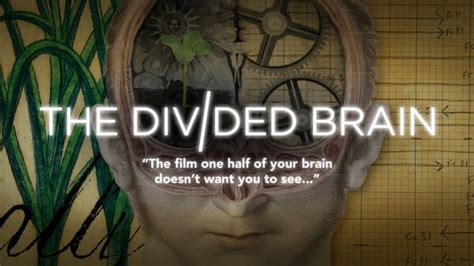 The Divided Brain