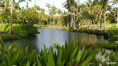 Ancient Hawaiian Fish Ponds Aloha Vacation Cottages