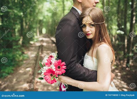 Romantic Newlywed Couple Kissing In Pine Tree Forest Stock Photo