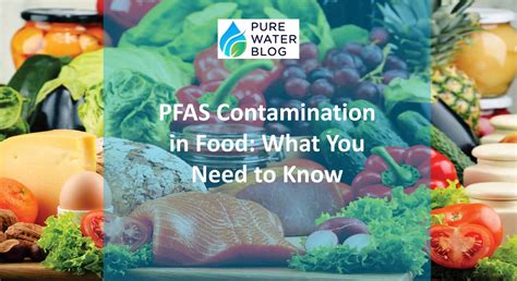 Pfas Contamination In Food What You Need To Know Water Treatment