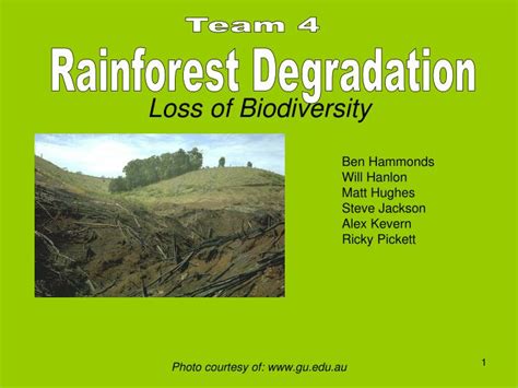 Ppt Loss Of Biodiversity Powerpoint Presentation Free Download Id