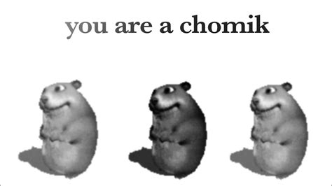 Find The Chomiks Roblox You Are A Chomik Guide My Chomik
