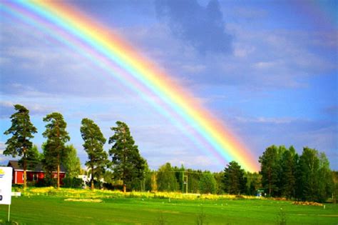 Interesting Facts About Rainbows Just Fun Facts