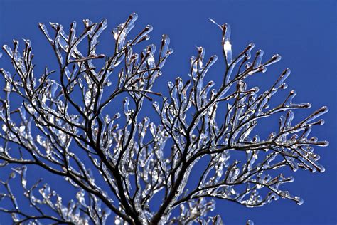 Icey Sparkle Photograph By Sally Weigand Fine Art America