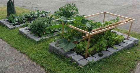 How To Build A Raised Bed Vegetable Garden Diy