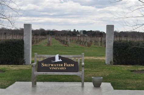 Saltwater Farm Vineyard Stonington All You Need To Know Before You