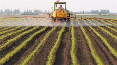 Usda Food Pesticide Residue Survey Raises Alarm While Pesticide