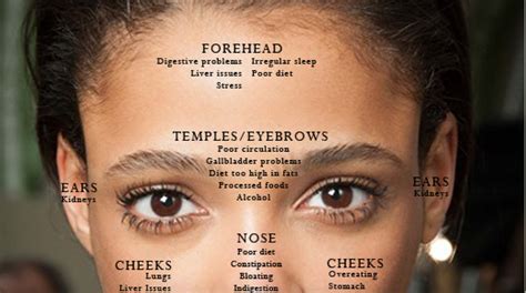 The Location Of Your Breakouts Tell You Whats Wrong With Your Health