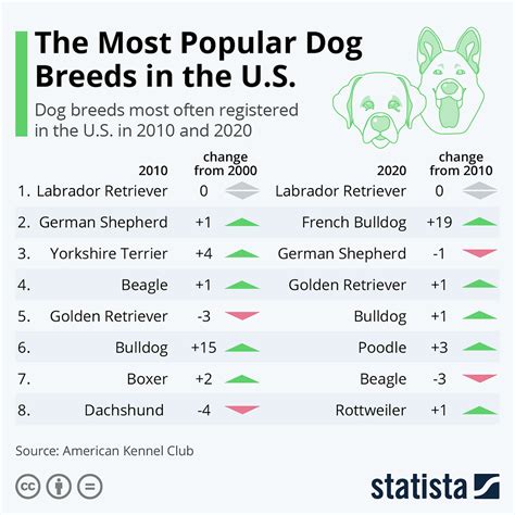 The Most Popular Dog Breeds In The Us