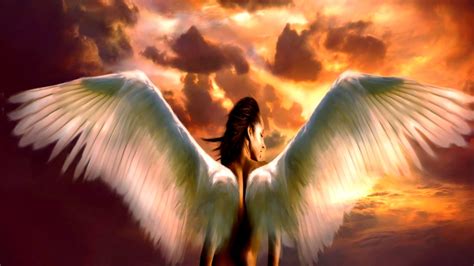 Angel Full Hd Wallpaper And Background Image 1920x1080 Id416782