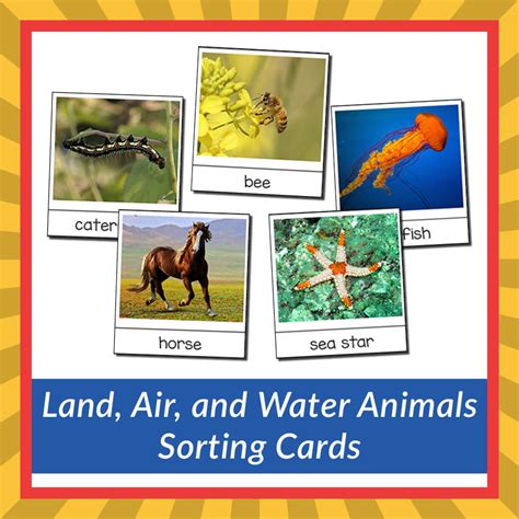 Land Air And Water Animals Sorting Cards T Of Curiosity