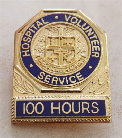 Vg Collectible Vintage Hospital Volunteer Pin 100 Hours Ebay