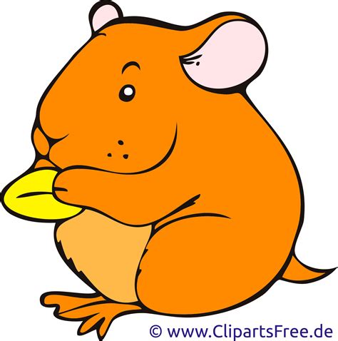 Cartoon Hamster Clip Art Hamster Clipart Png Transparent Png Full