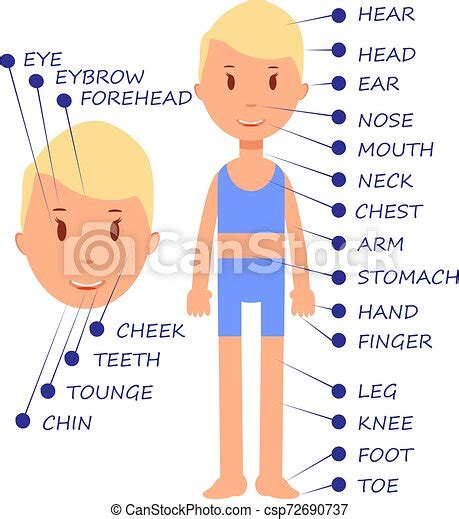 Cartoon Little Child Vocabulary Of Human Body Parts Dictionary Online