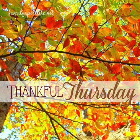 Thankful Thursdays At The University Of Akron Throughout The Month Of