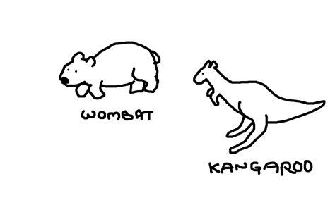 Wombat And Kangaroo Watercolor Cards Doodles Cute