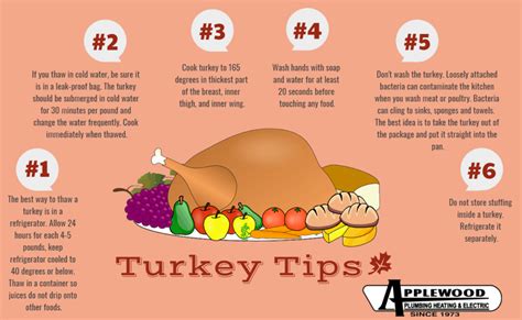 turkey tips infographic applewood plumbing