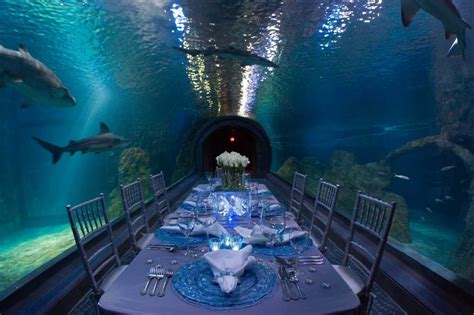 Adventure Aquarium Wedding Venue In Philadelphia Partyspace