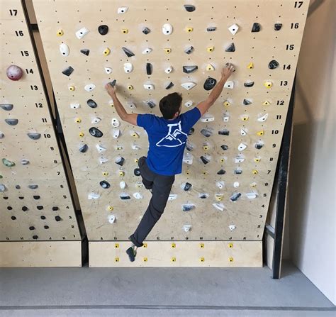 Indoor Climbing Wall Climbing Gym Hangboard Bouldering Wall Living