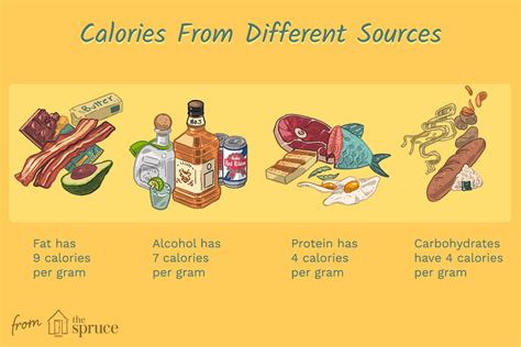 Professor and chairman, department of biochemistry and molecular biology, georgetown university, washington, d.c. Understanding Calories in Fat