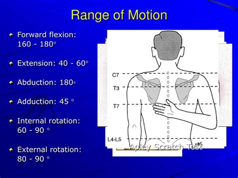 Ppt History And Physical Examination Of The Shoulder Powerpoint