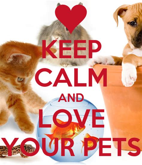 Keep Calm And Love Your Pets Poster Pindoleta Keep Calm O Matic